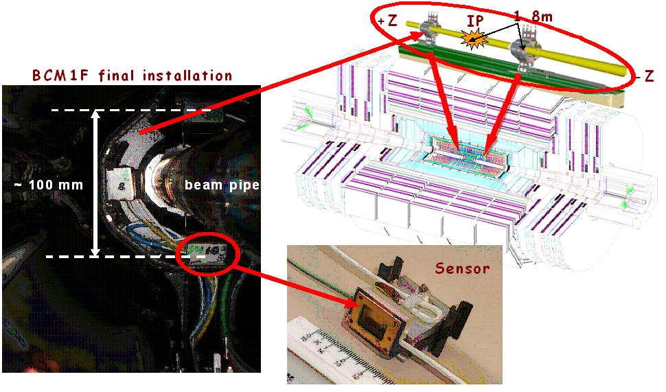 bcm1f_overview.jpg